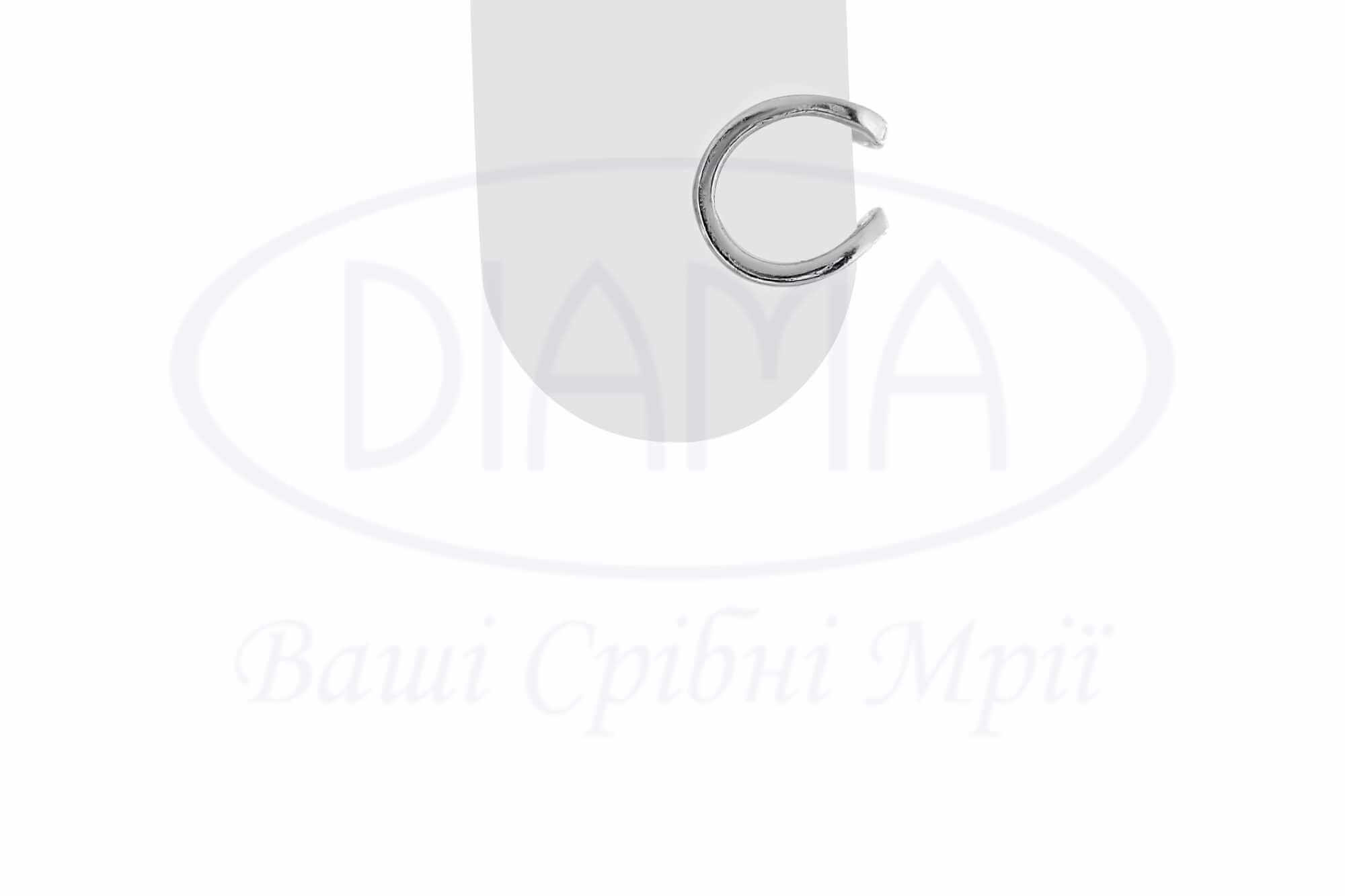 Срібна сережка