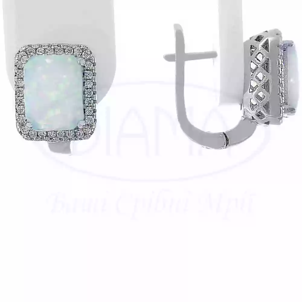 Срібні сережки з Опалом фото 1