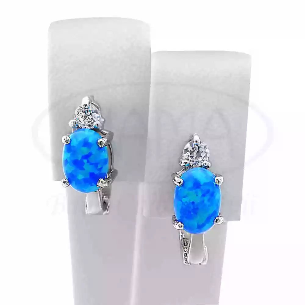 Срібні сережки з Опалом фото 1