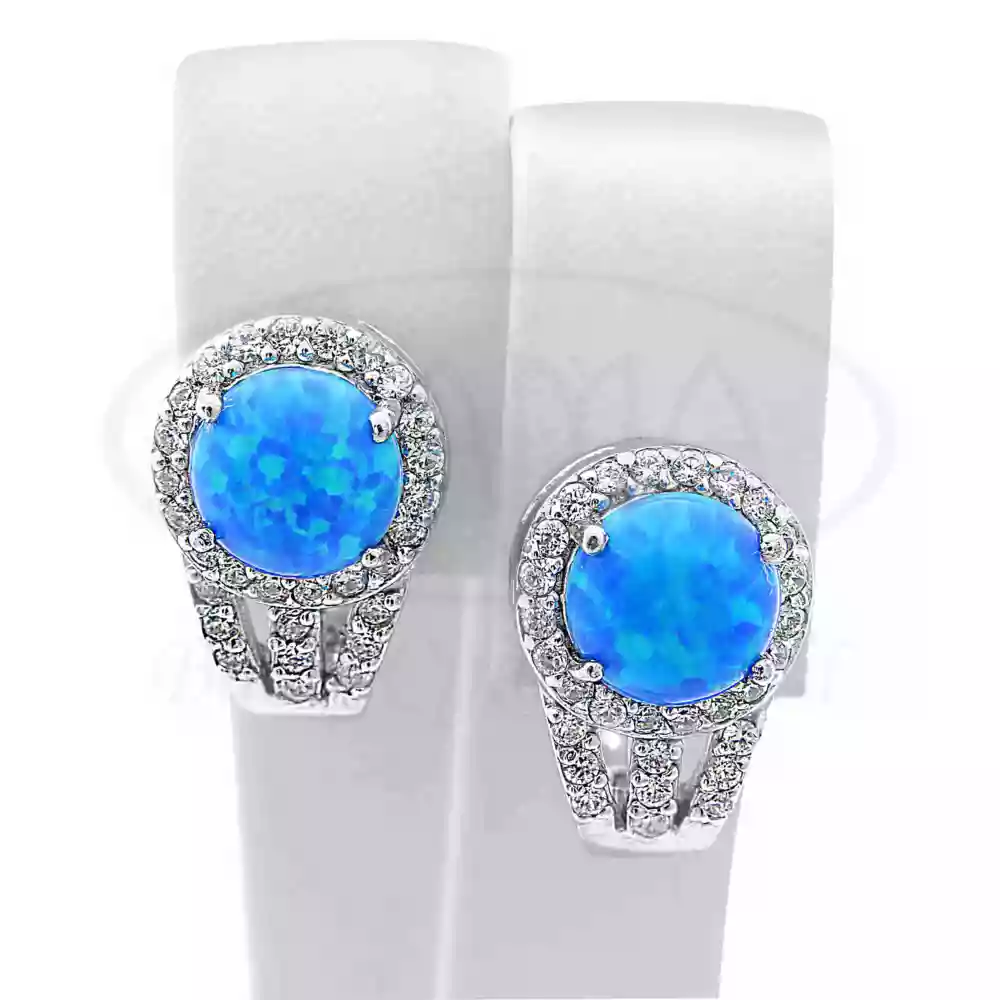 Срібні сережки з Опалом фото 1