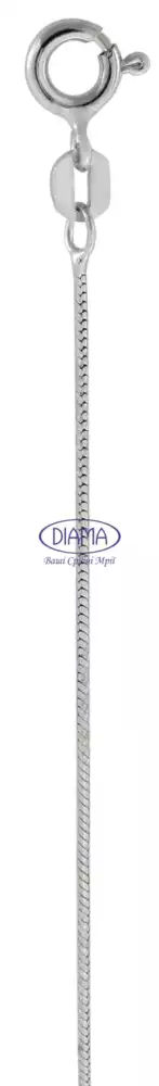 Ланцюг срібний "Снейк зі спіраллю" фото 2