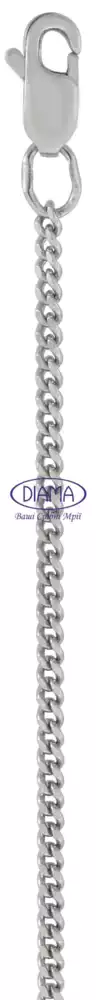 Ланцюг срібний "Гурмет" фото 1