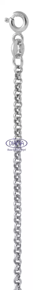 Ланцюг срібний "Доч" фото 1