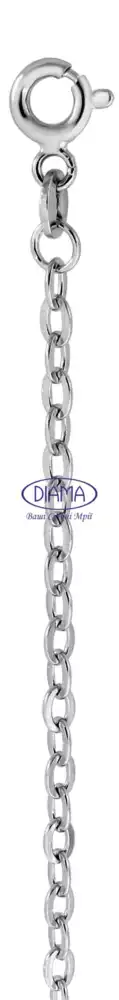 Ланцюг срібний "Якір плоский овальний" фото 1