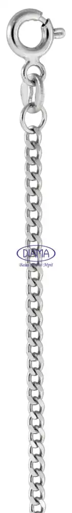 Ланцюг срібний "Гурмет" фото 1