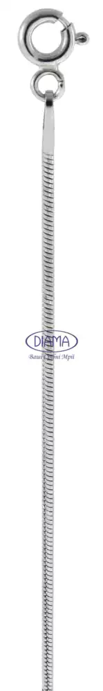 Ланцюг срібний "Снейк круглий з насічками" фото 2