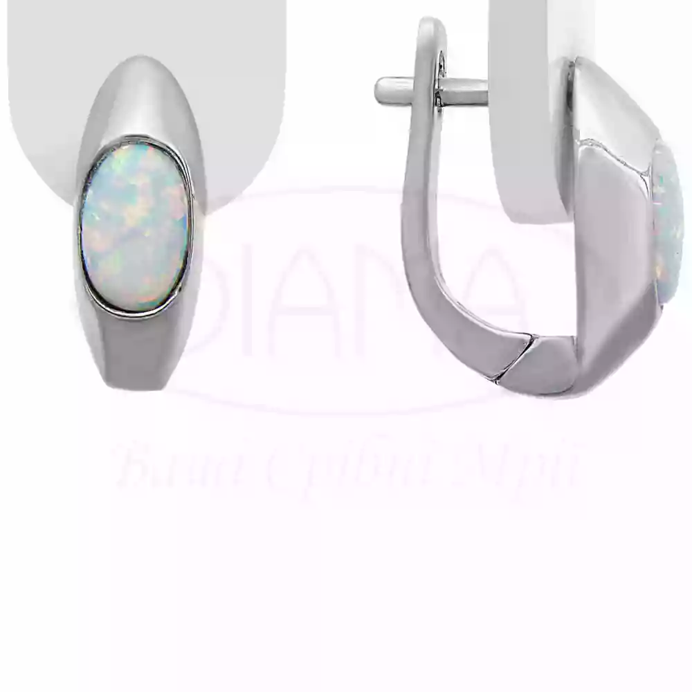 Сережки срібні з Опалом фото 1