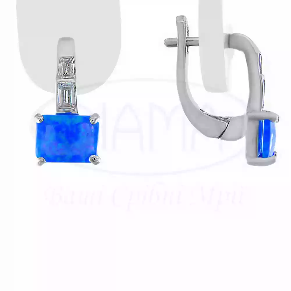 Срібні сережки з Опалом фото 1