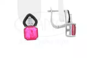 Срібні сережки з Цирконом та Емаллю