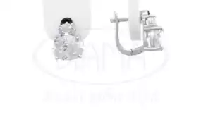 Сережки срібні з Цирконом і Емаллю