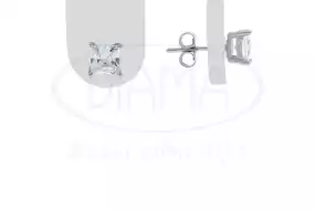 Срібні пусети