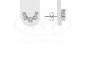 Срібні пусети