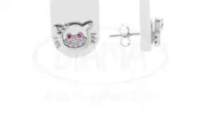 Срібні пусети