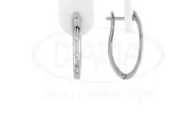 Срібні сережки