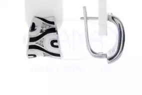 Сережки срібні з Емаллю