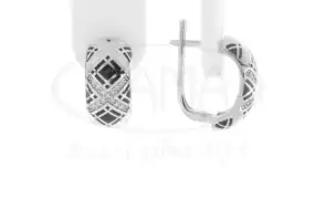 Сережки срібні з Емаллю