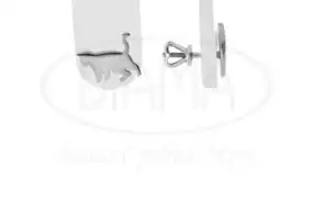 Срібні сережки