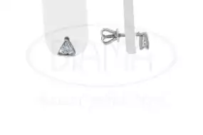 Срібні сережки