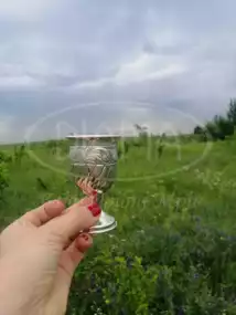 Срібний келих