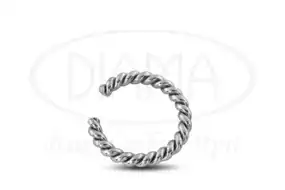 Срібна сережка