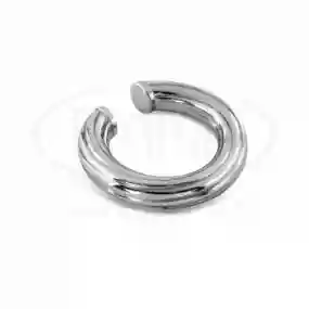 Срібна сережка