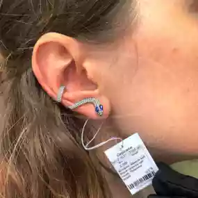 Срібна сережка Змія