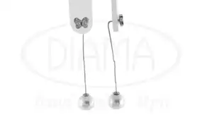 Срібні сережки